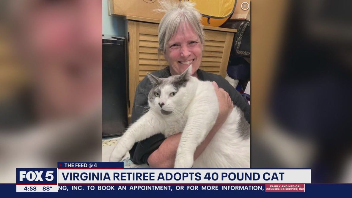 Virginia retiree adopts 40 pound cat